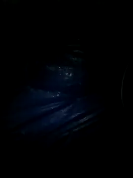 Snapshot of Ritababhi chatting on 03-02-25, 06:51 Ritababhi online show from 03-02-25, 06:51