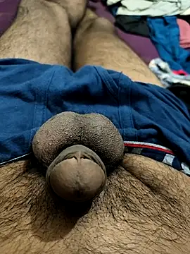 PAWARXX 0 online show from 10-14-25, 06:20