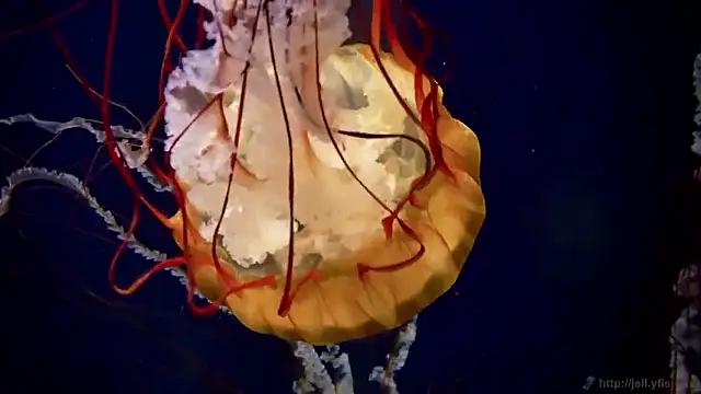 Snapshot of streamy_test15 chatting on 10-02-25, 08:43 streamy test15 online show from 10-02-25, 08:43