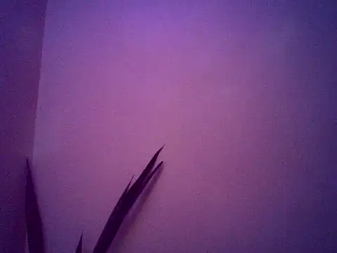 Malandralle online show from 11-25-25, 05:29