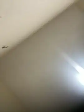 Malandralle online show from 02-21-26, 12:11