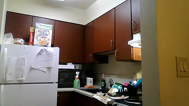 Snapshot of DreamvilleINC chatting on 11-02-25, 11:51 DreamvilleINC online show from 11-02-25, 11:51