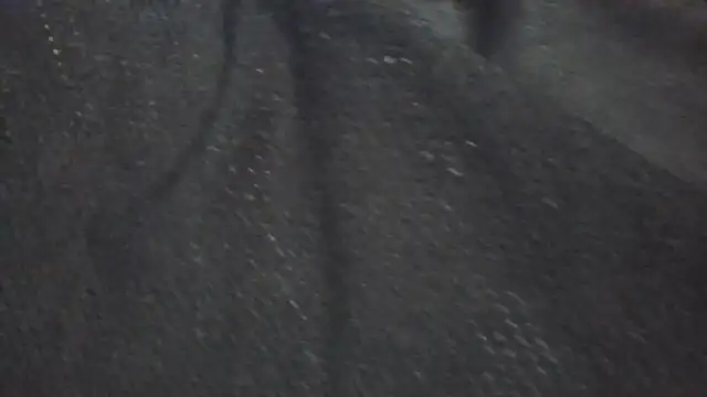 Leonul online show from 03-24-26, 05:40