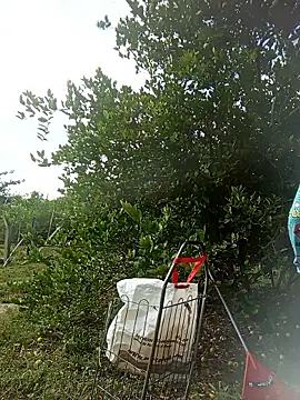 natally ross21 online show from 03-20-26, 01:16