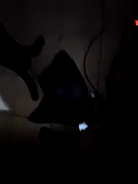 Snapshot of everyoneneeds chatting on 12-26-24, 07:03 everyoneneeds online show from 12-26-24, 07:03