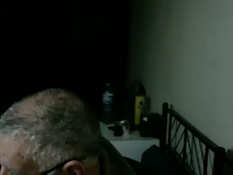 100Tauros online show from 04-08-26, 09:26