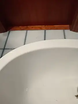 Snapshot of Durovoglioso2 chatting on 03-15-26, 07:14 Durovoglioso2 online show from 03-15-26, 07:14