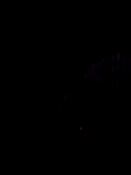 Snapshot of StaciGoodman chatting on 02-01-25, 01:44 StaciGoodman online show from 02-01-25, 01:44