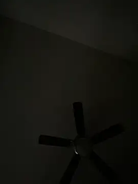 goldbuni online show from 12-08-24, 01:36