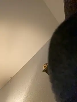 goldbuni online show from 12-30-24, 01:25