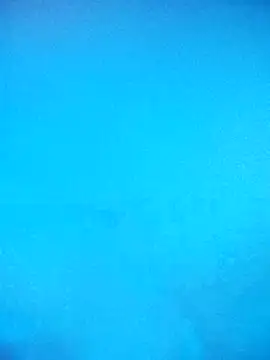 Snapshot of skrigul12 chatting on 02-14-26, 03:31 skrigul12 online show from 02-14-26, 03:31