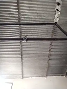 Andreita 95 online show from 04-23-26, 02:19