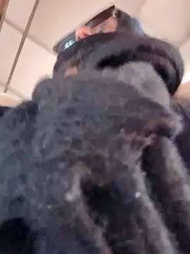 Morphine 666 online show from 03-07-26, 07:16