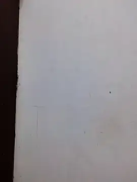 AmnionicDemeanor online show from 11-02-25, 11:56