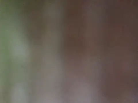 misu09 online show from 02-28-25, 03:04