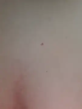 AmandaS2k online show from 06-08-26, 04:29