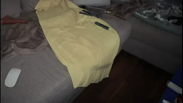 Snapshot of swissMen_DE chatting on 02-19-25, 08:12 swissMen DE online show from 02-19-25, 08:12