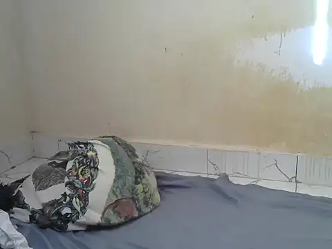 Snapshot of Zenath_ chatting on 07-18-26, 05:11 Zenath online show from 07-18-26, 05:11