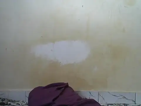 Snapshot of Zenath_ chatting on 07-30-26, 04:55 Zenath online show from 07-30-26, 04:55
