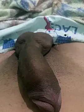 king cum  online show from 12-24-24, 09:28