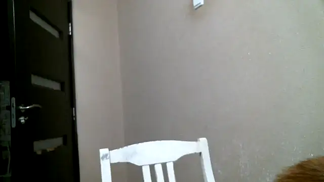 Snapshot of DennisXCaroll chatting on 02-18-25, 12:04 DennisXCaroll online show from 02-18-25, 12:04