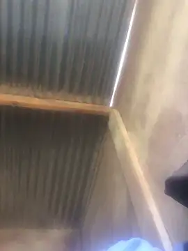 DWildB online show from 04-10-26, 09:47