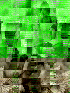 Snapshot of HimiJim chatting on 11-10-25, 11:42 HimiJim online show from 11-10-25, 11:42