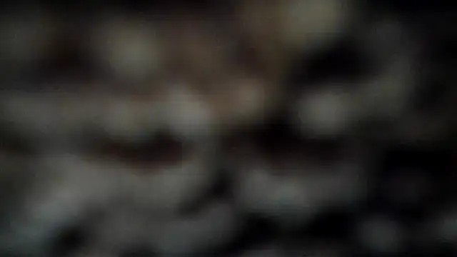 Snapshot of leatherz69 chatting on 03-07-25, 04:02 leatherz69 online show from 03-07-25, 04:02