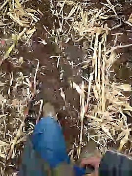 murokkk31 online show from 01-05-25, 06:46