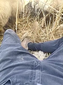 murokkk31 online show from 10-29-25, 09:33