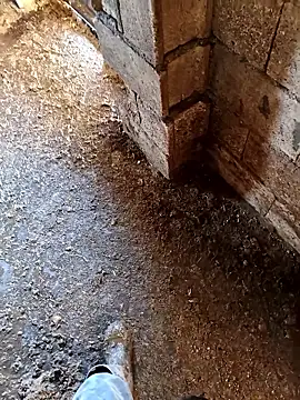 murokkk31 online show from 01-14-26, 07:14