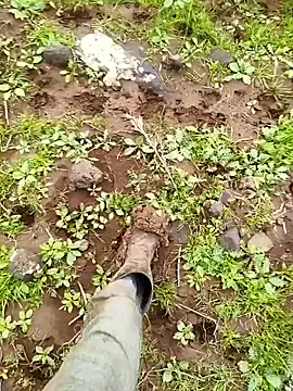 murokkk31 online show from 03-29-26, 06:57