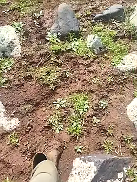 murokkk31 online show from 03-30-26, 07:09