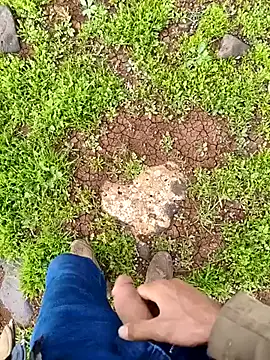 murokkk31 online show from 04-01-26, 01:52