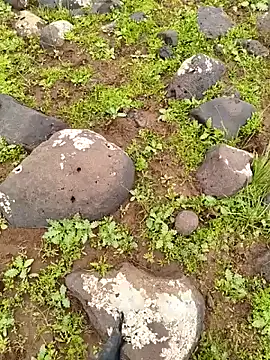 murokkk31 online show from 04-03-26, 09:29