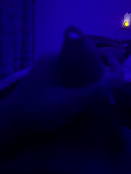 thecockybouy online show from 03-02-25, 01:36