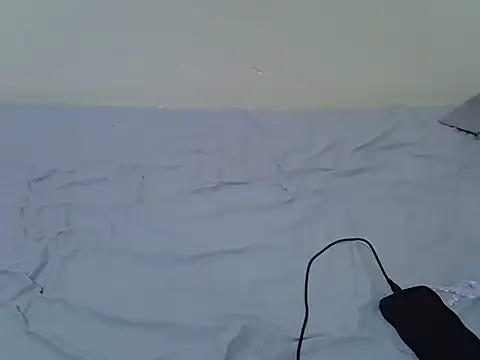 tasty piee online show from 10-25-25, 04:42