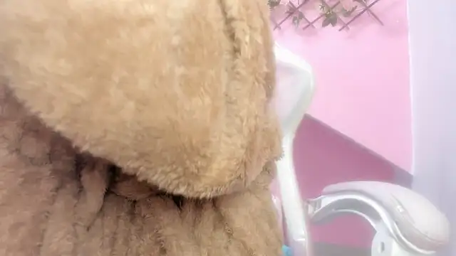 Snapshot of meribeth303av chatting on 12-22-24, 02:17 meribeth303av online show from 12-22-24, 02:17