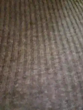 lamorbosa37 online show from 02-10-26, 08:13