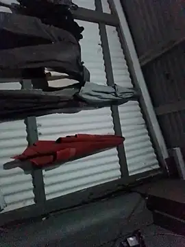 Algenis1232 online show from 11-04-25, 07:29