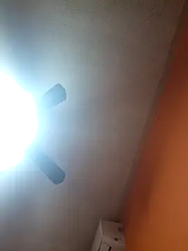 miicheele32 online show from 11-04-25, 07:40