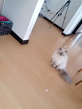  monicab online show from 09-27-25, 02:55