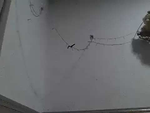 Snapshot of pedrodavid_ chatting on 12-08-24, 12:18 pedrodavid  online show from 12-08-24, 12:18