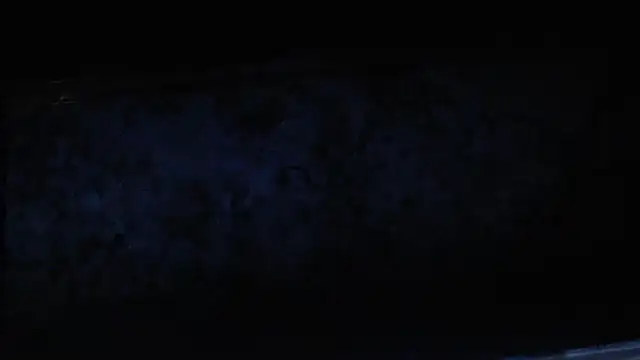 Snapshot of joeydee1 chatting on 02-17-25, 02:04 joeydee1 online show from 02-17-25, 02:04