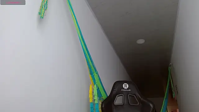 danna peterson1 online show from 10-27-25, 05:28