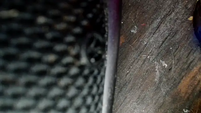 Snapshot of Gigadickman chatting on 12-02-24, 08:33 Gigadickman online show from 12-02-24, 08:33