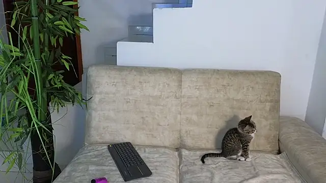 Lorenne Miller online show from 10-20-25, 03:29