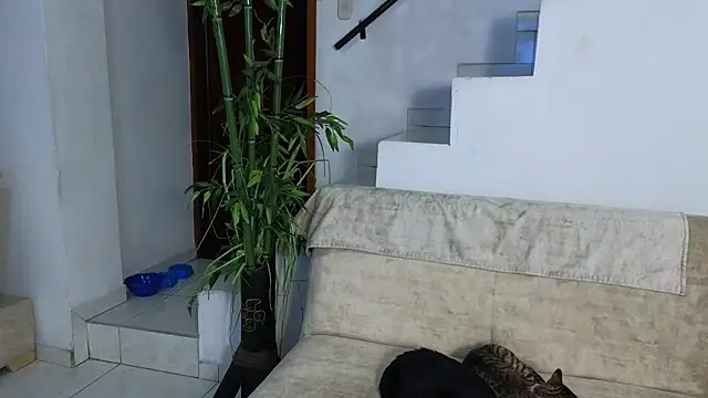 Lorenne Miller online show from 04-25-26, 02:03