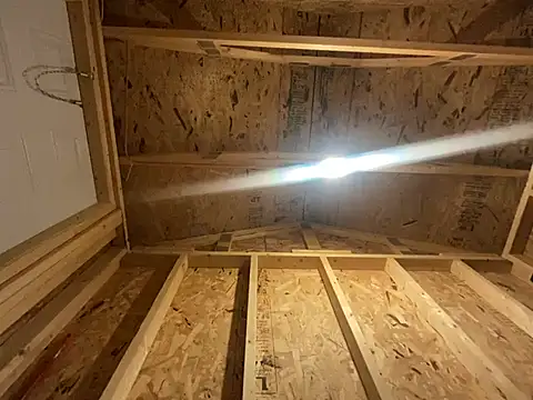 kikiwonderbar online show from 12-17-24, 06:35