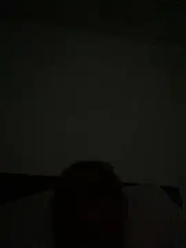 Snapshot of u091 chatting on 01-27-25, 06:19 u091 online show from 01-27-25, 06:19